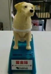 盲導犬支援活動の様子2